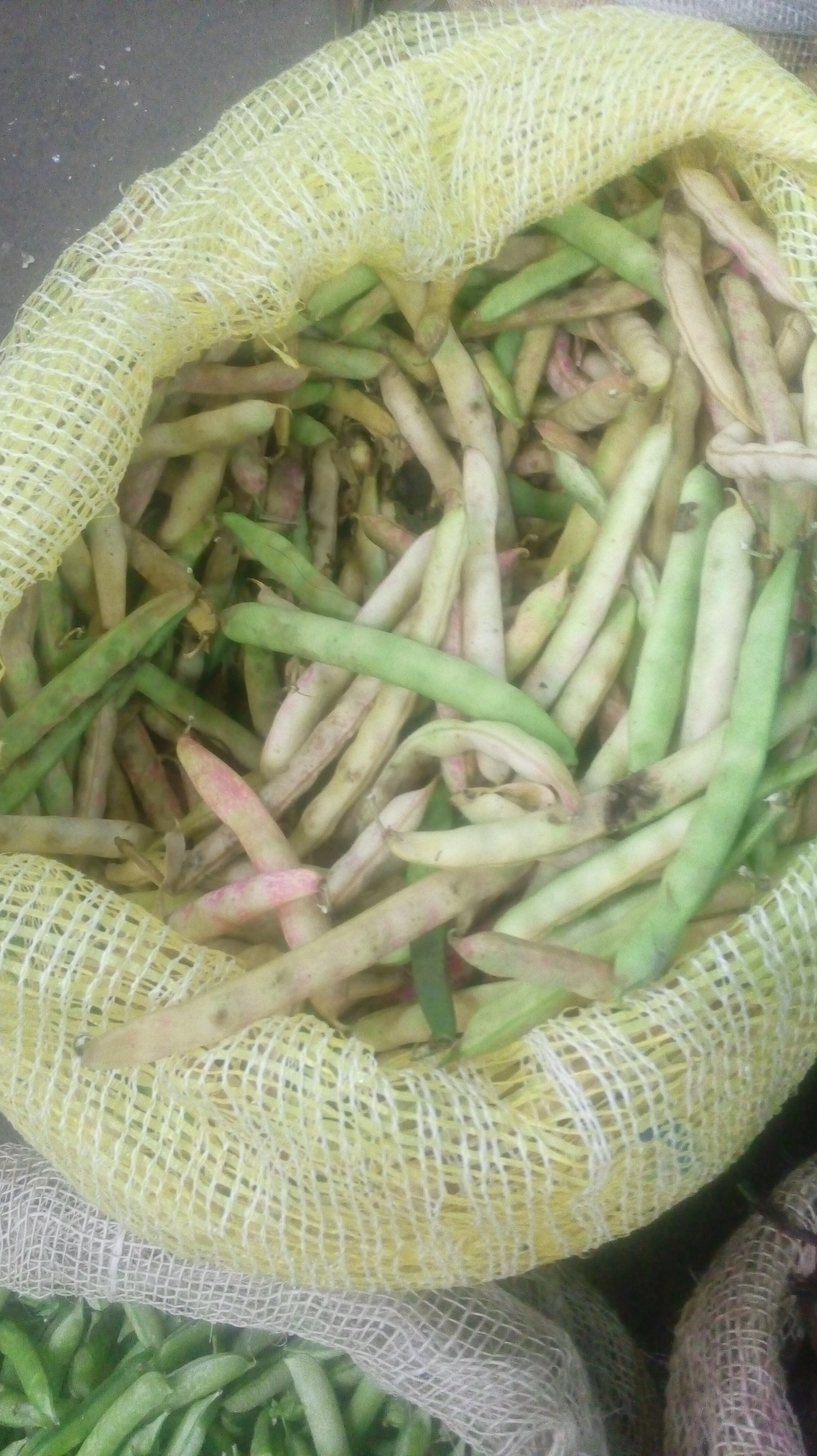Frijol en cascara