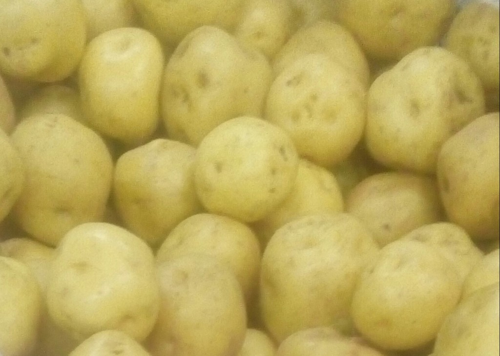 Papa criolla