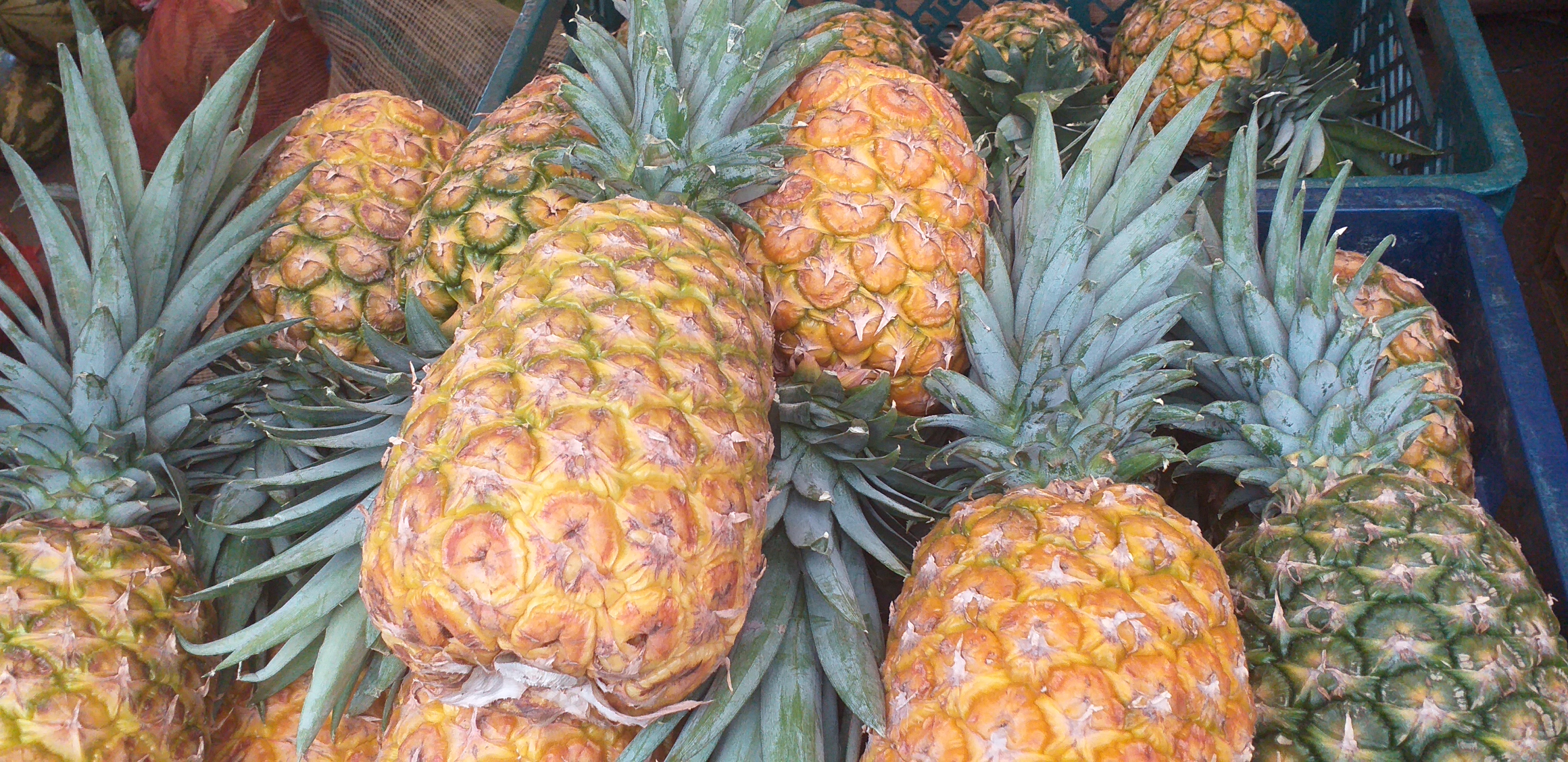 Piña oromiel