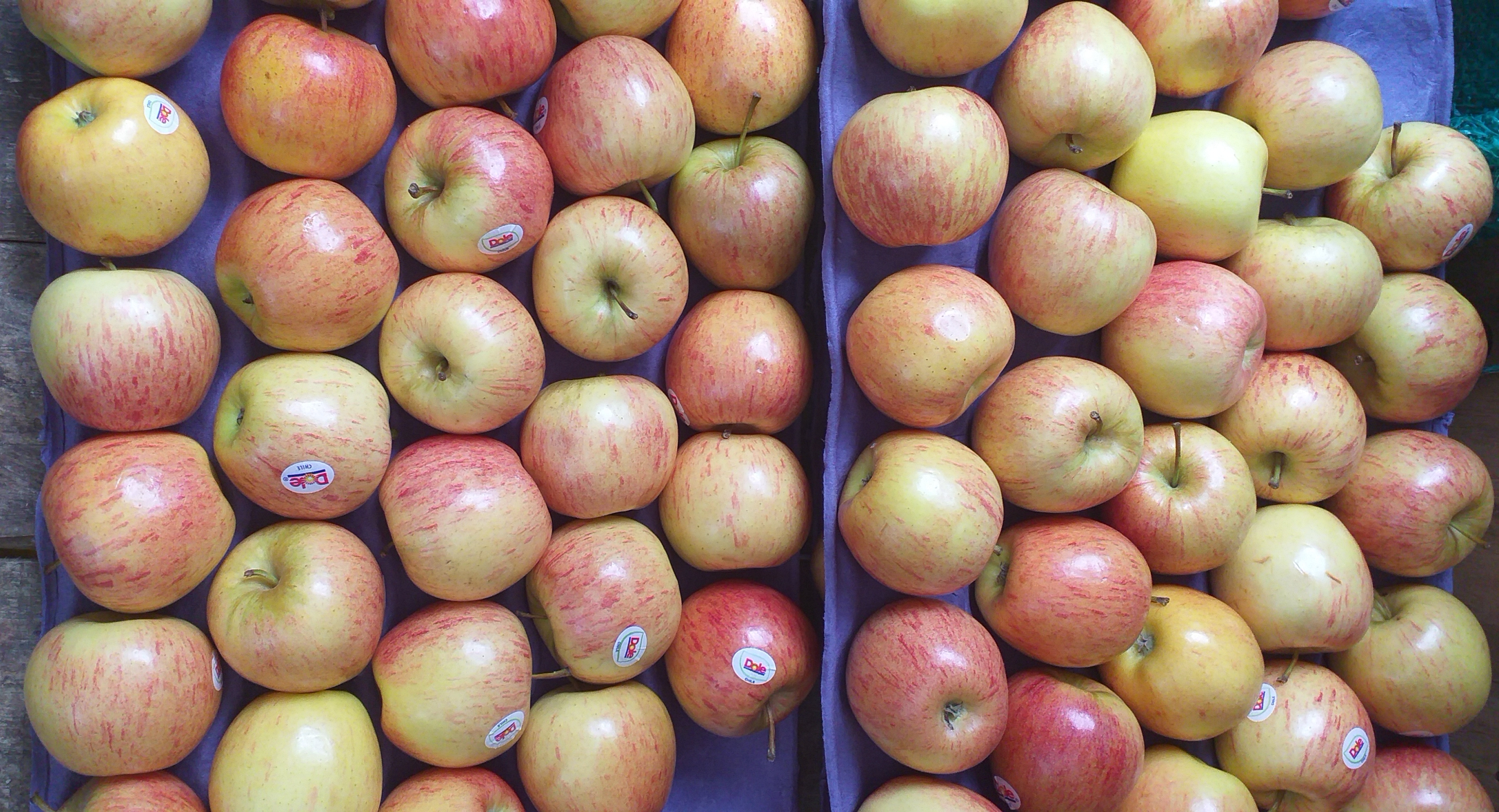 Manzana royal gala delgada