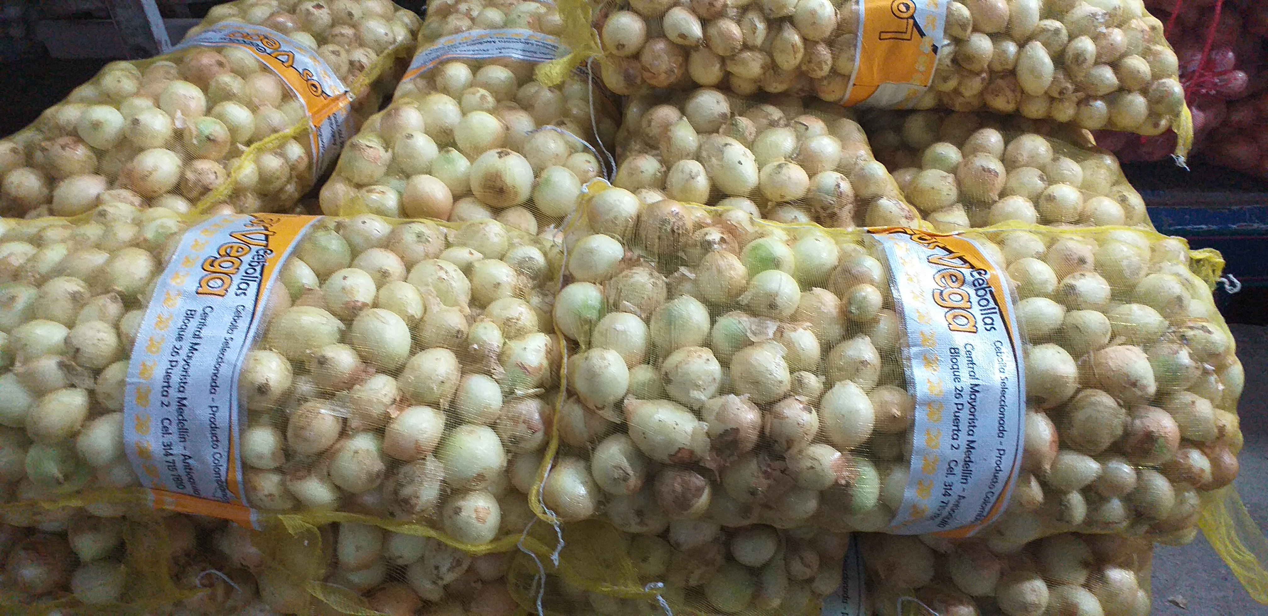 Cebolla blanca selecta/20kg