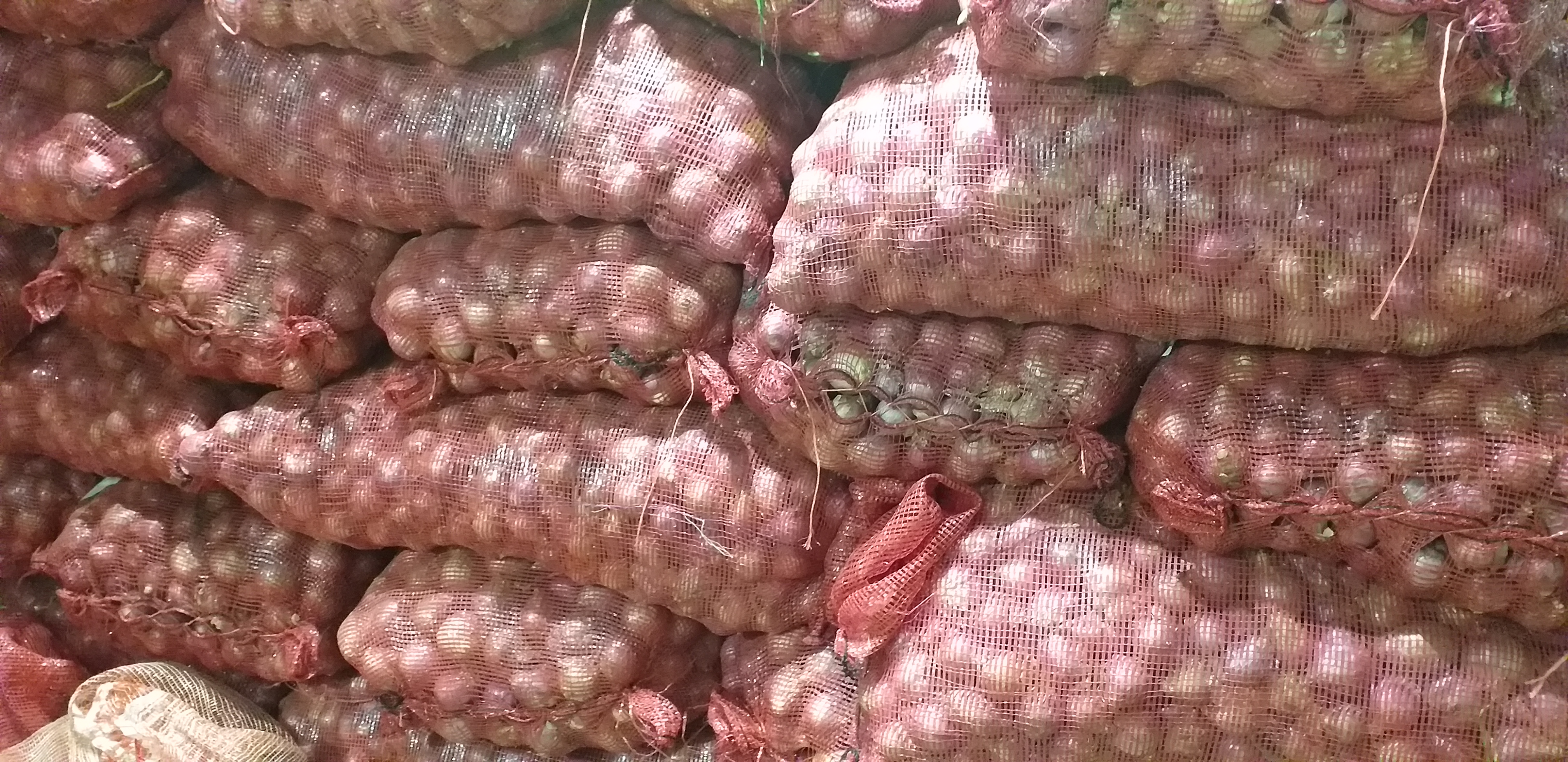 Cebolla peruana delgada/50kg