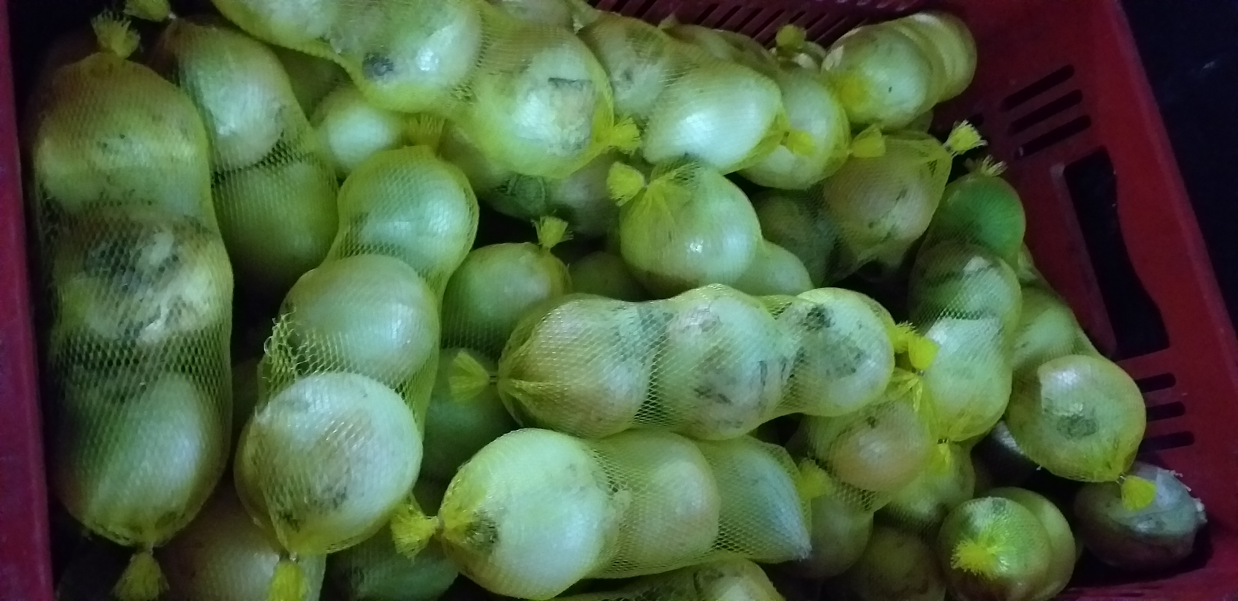 Cebolla en malla