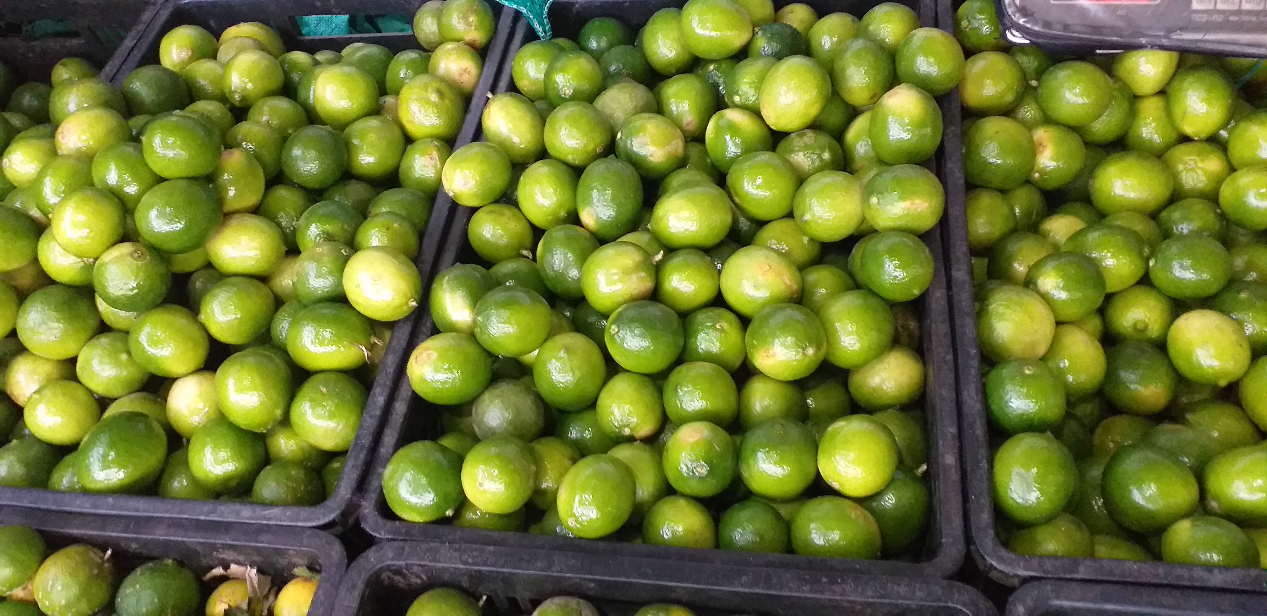 Limon tahiti delgado