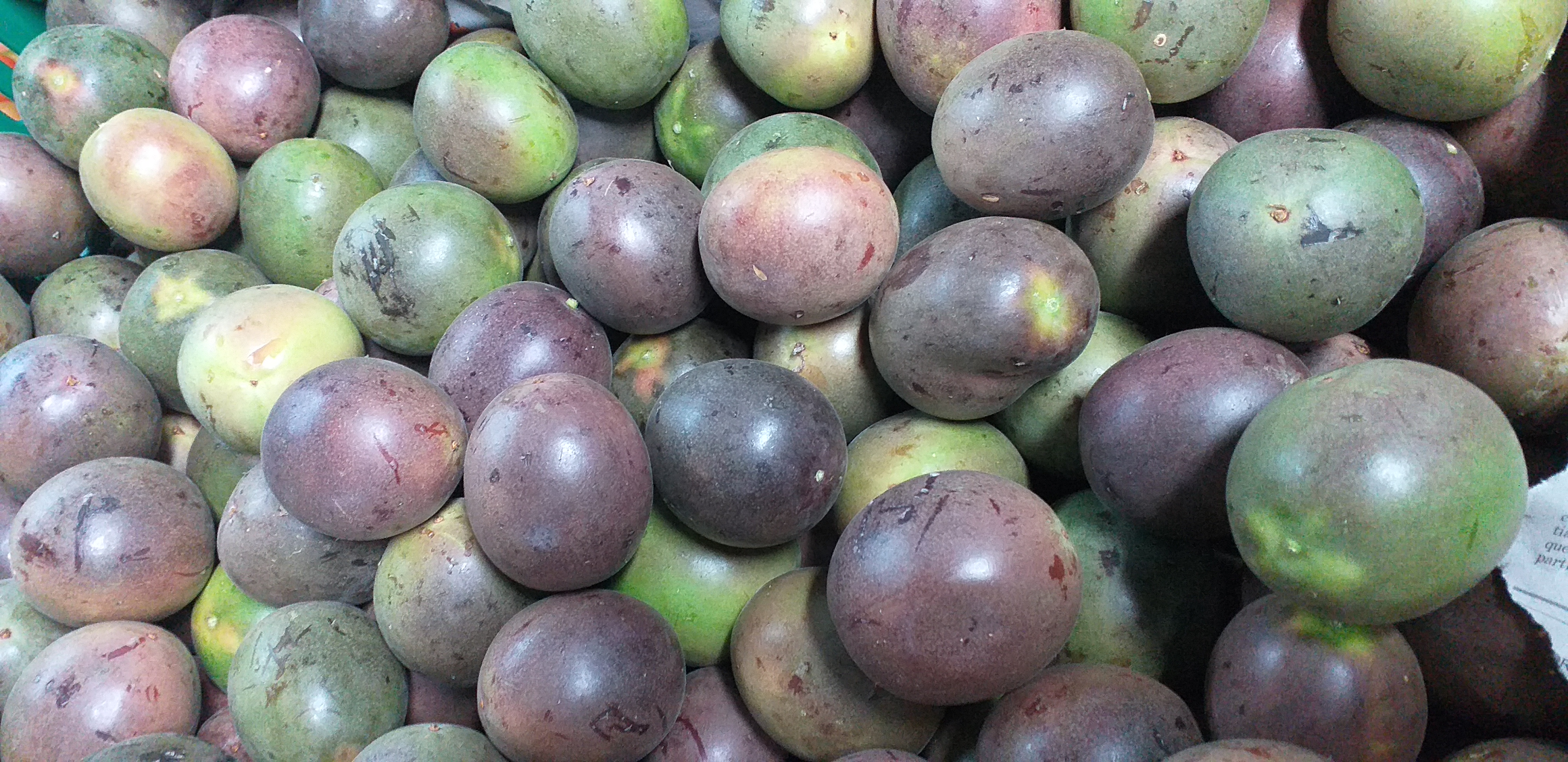 Gulupa