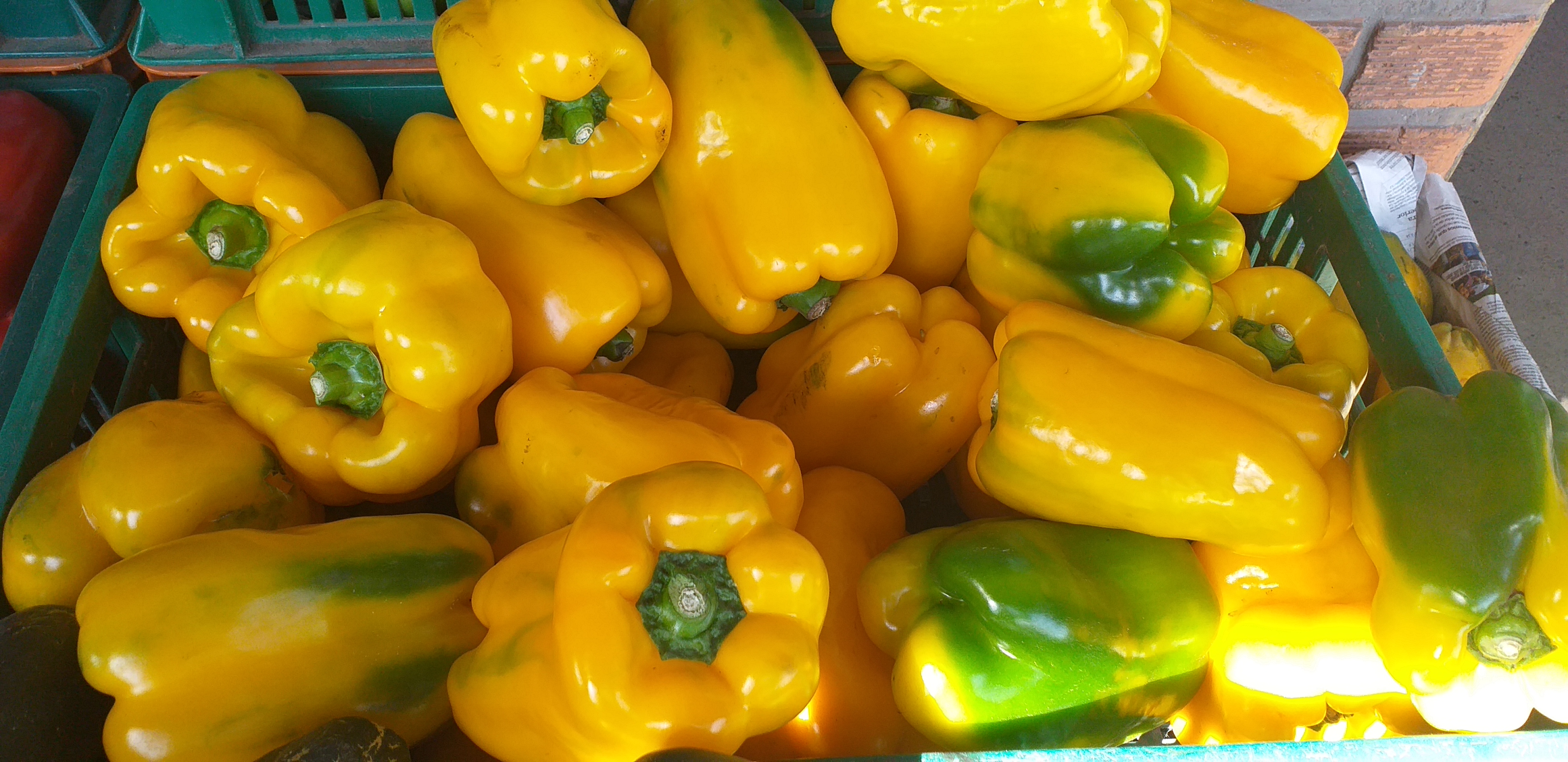 Pimenton amarillo