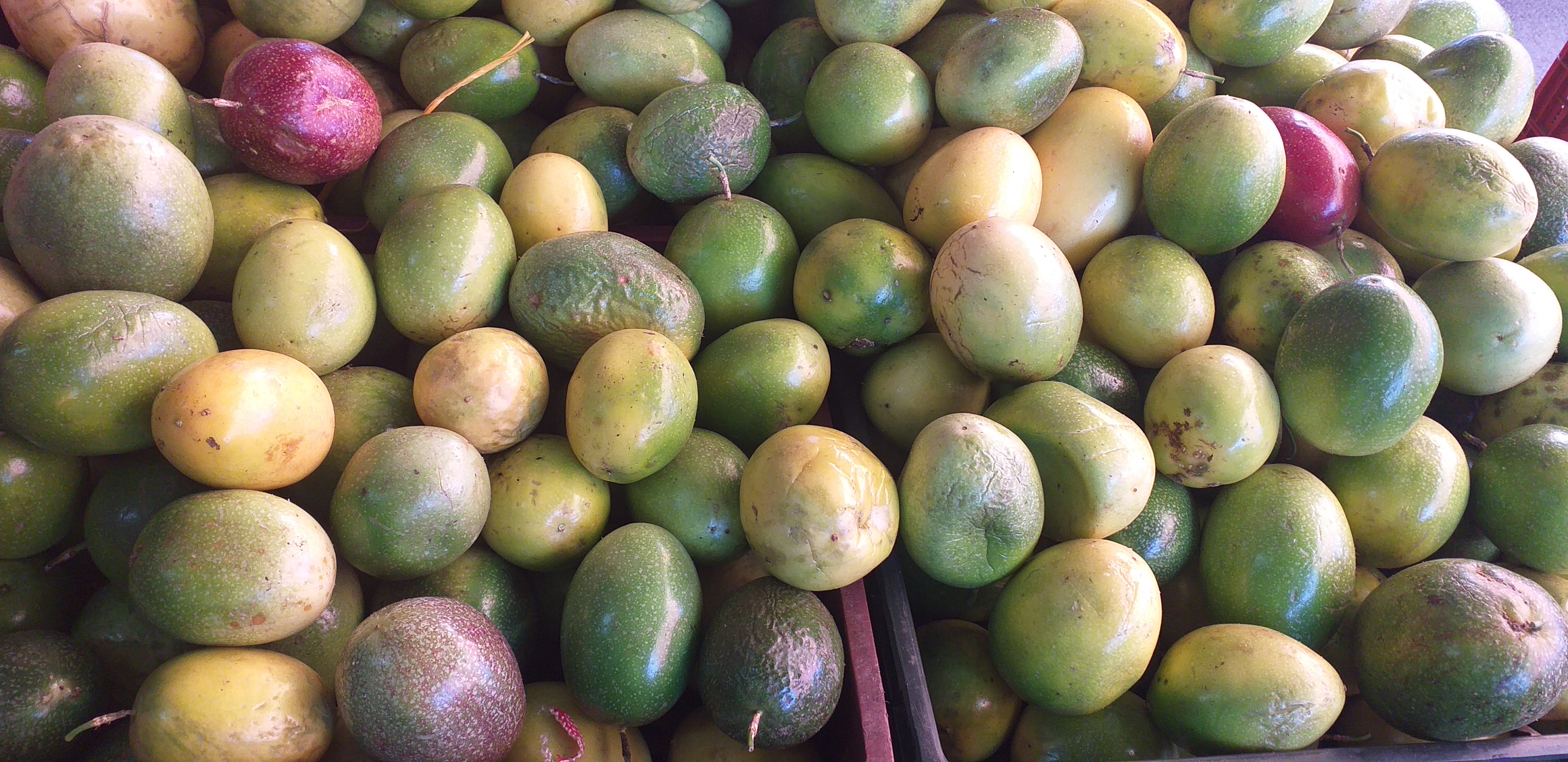 Maracuya