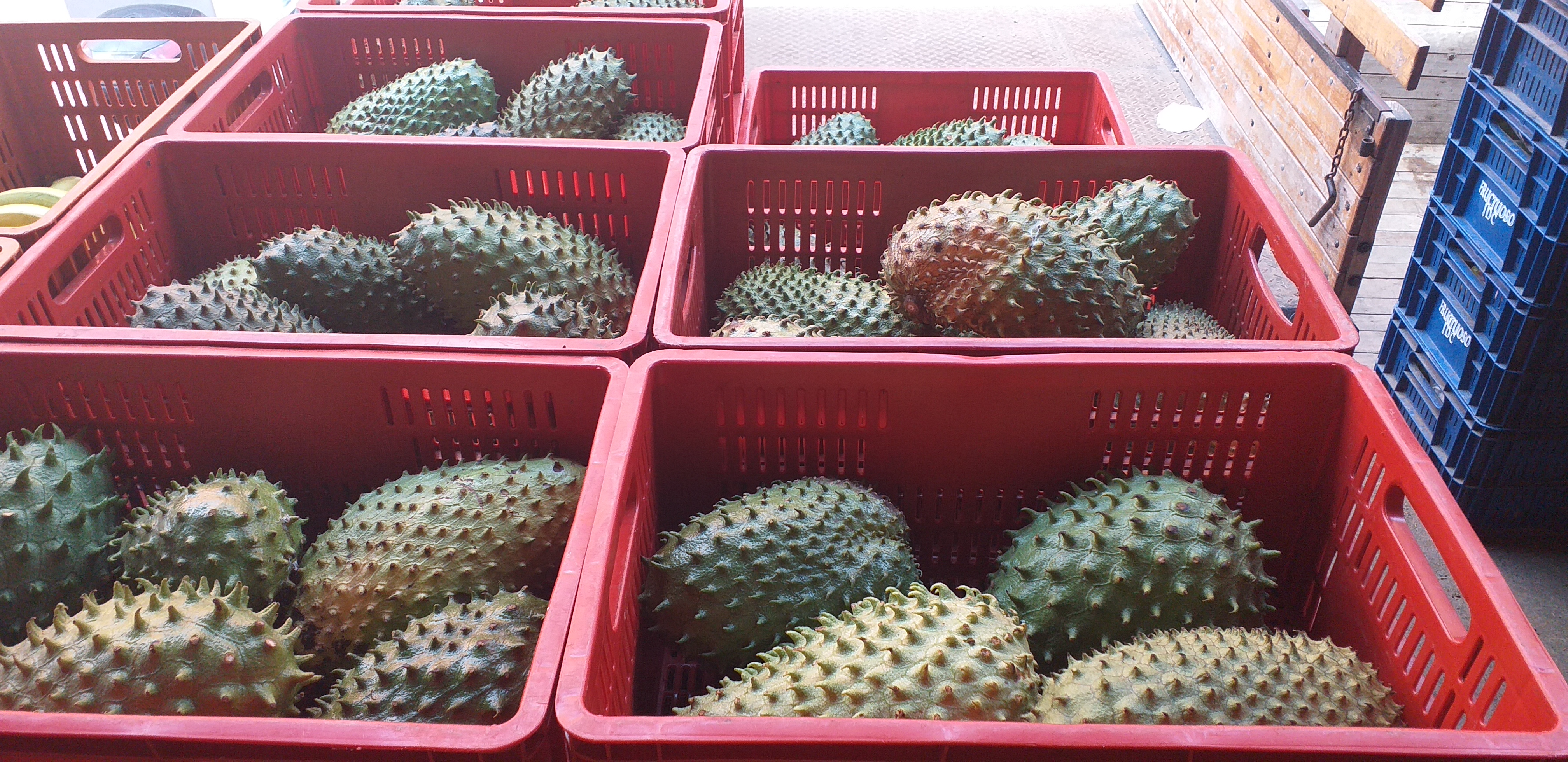 Guanabana