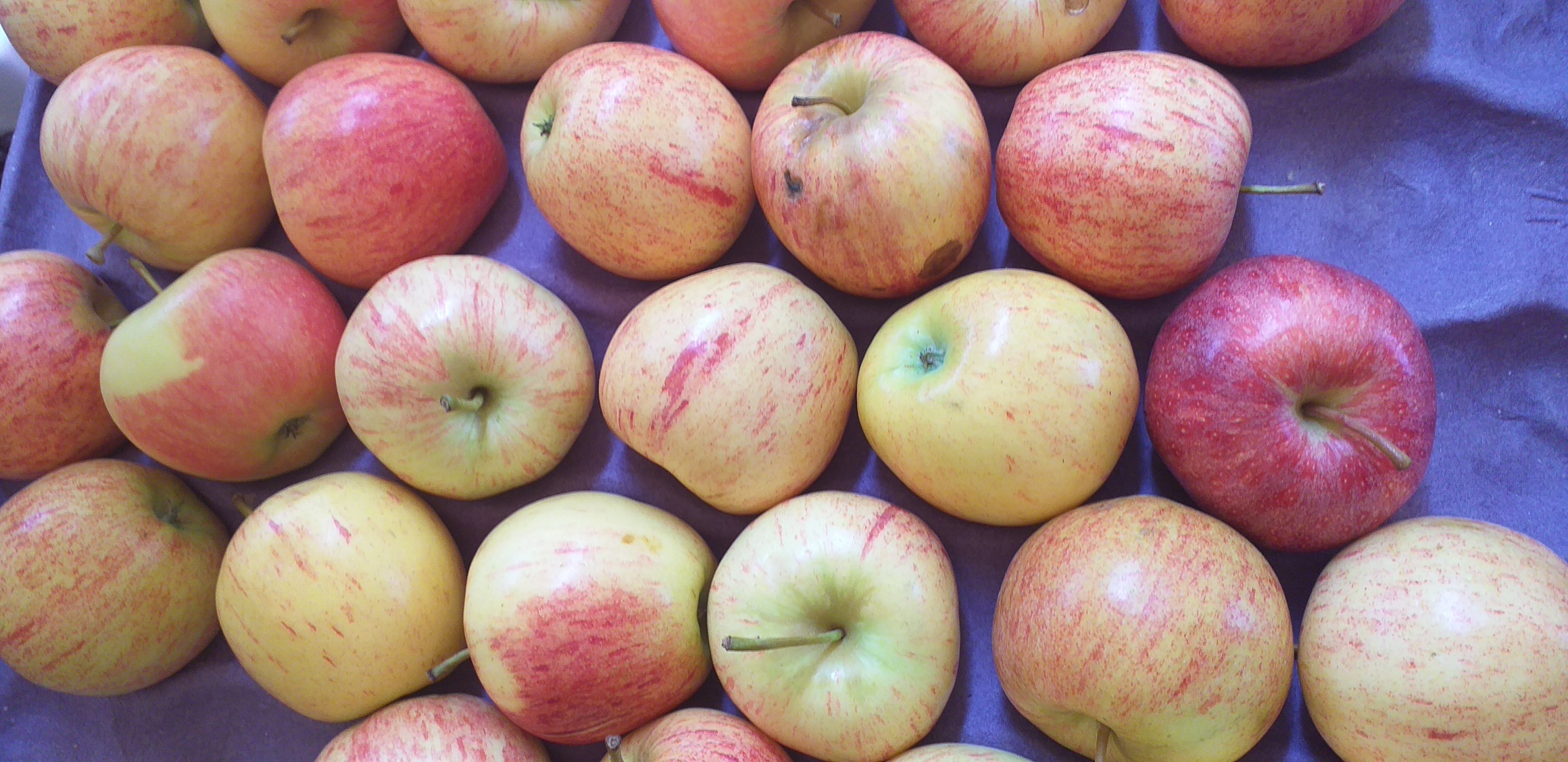 Manzana roja delgada