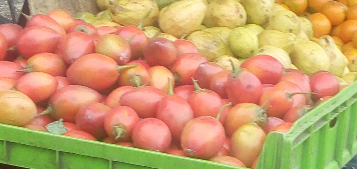 Canastas