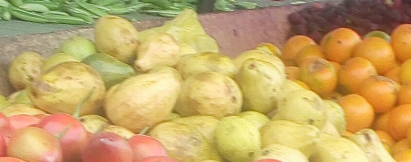 Guayaba