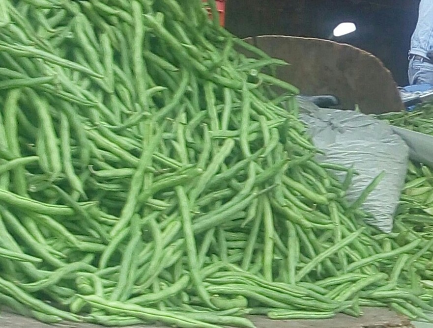 Habichuelas