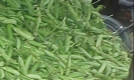 Arveja en cascara