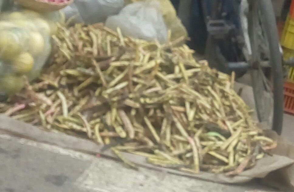 Frijol en cascara