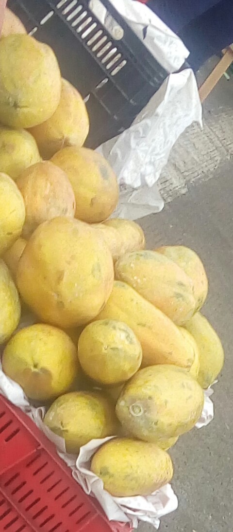 Papaya