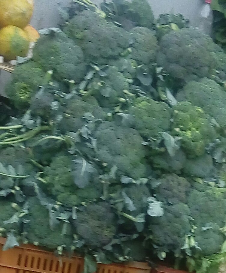 Brocoli