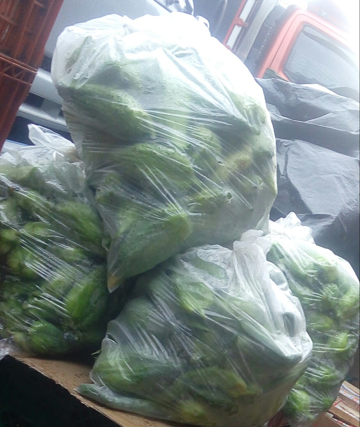 Pepino para guiso
