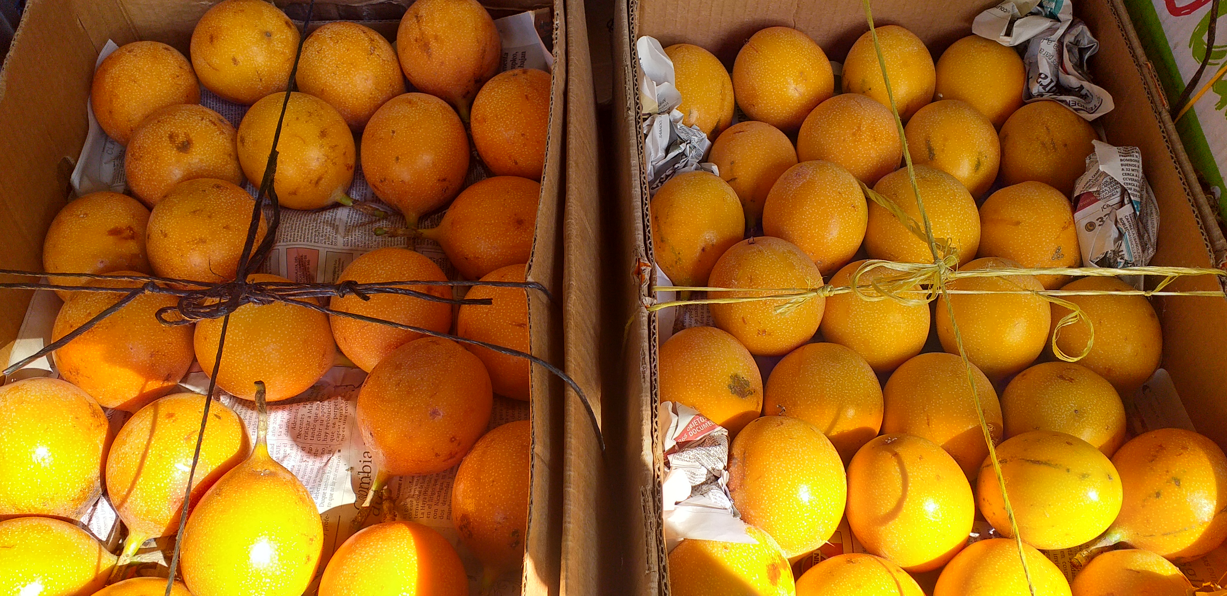 Granadilla/14kg