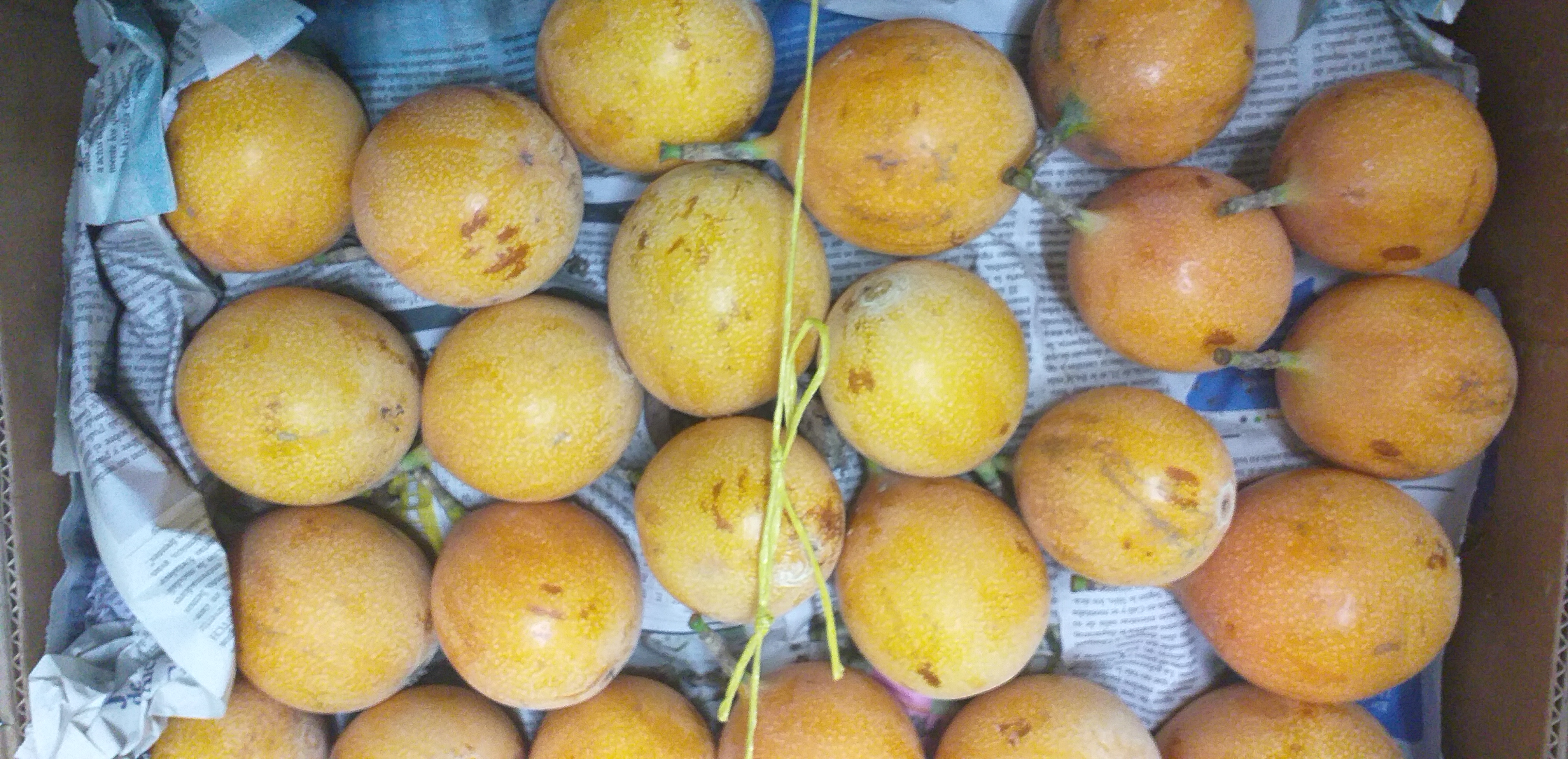Granadilla extra/102unid