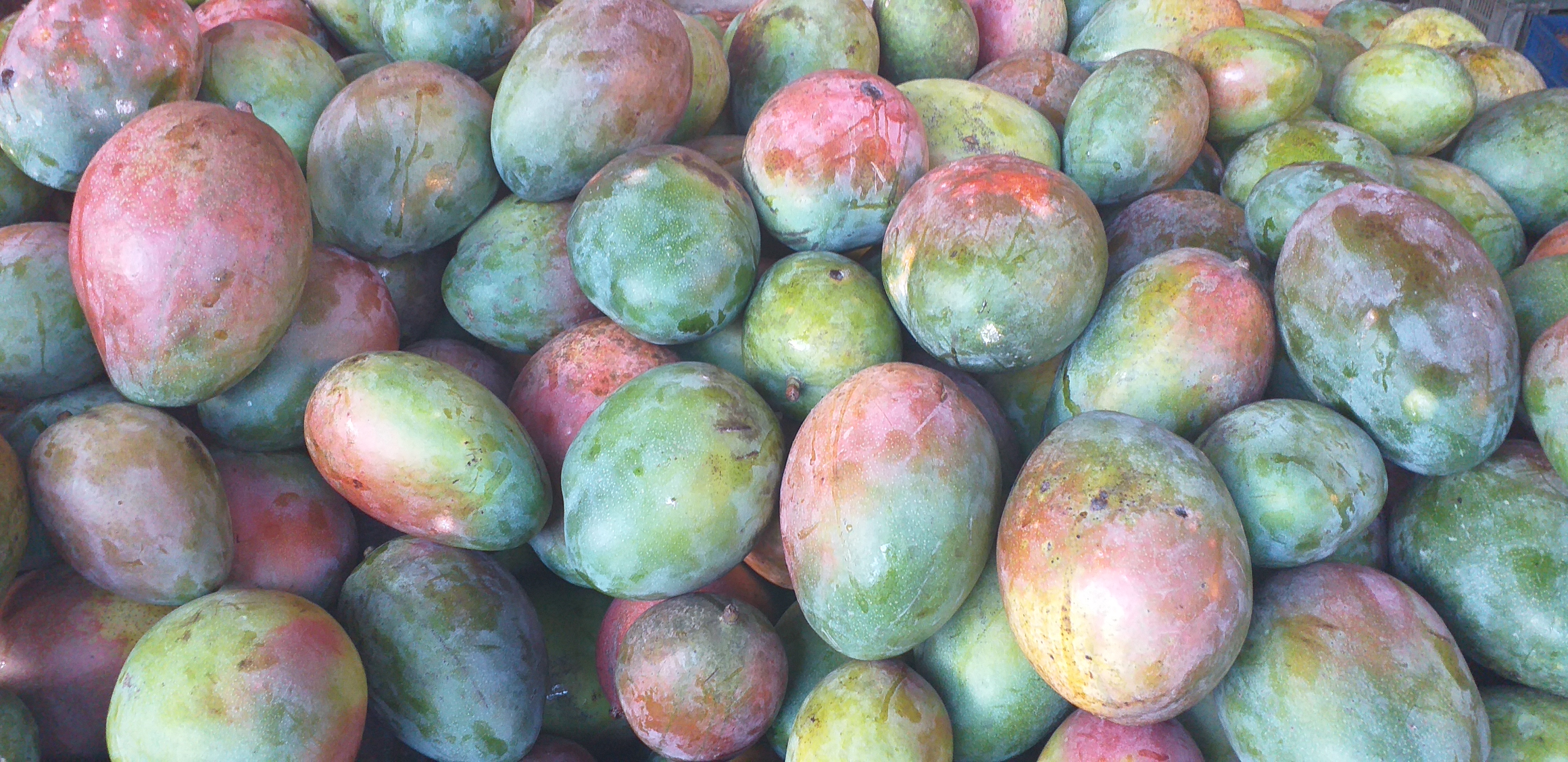 Mango farchi