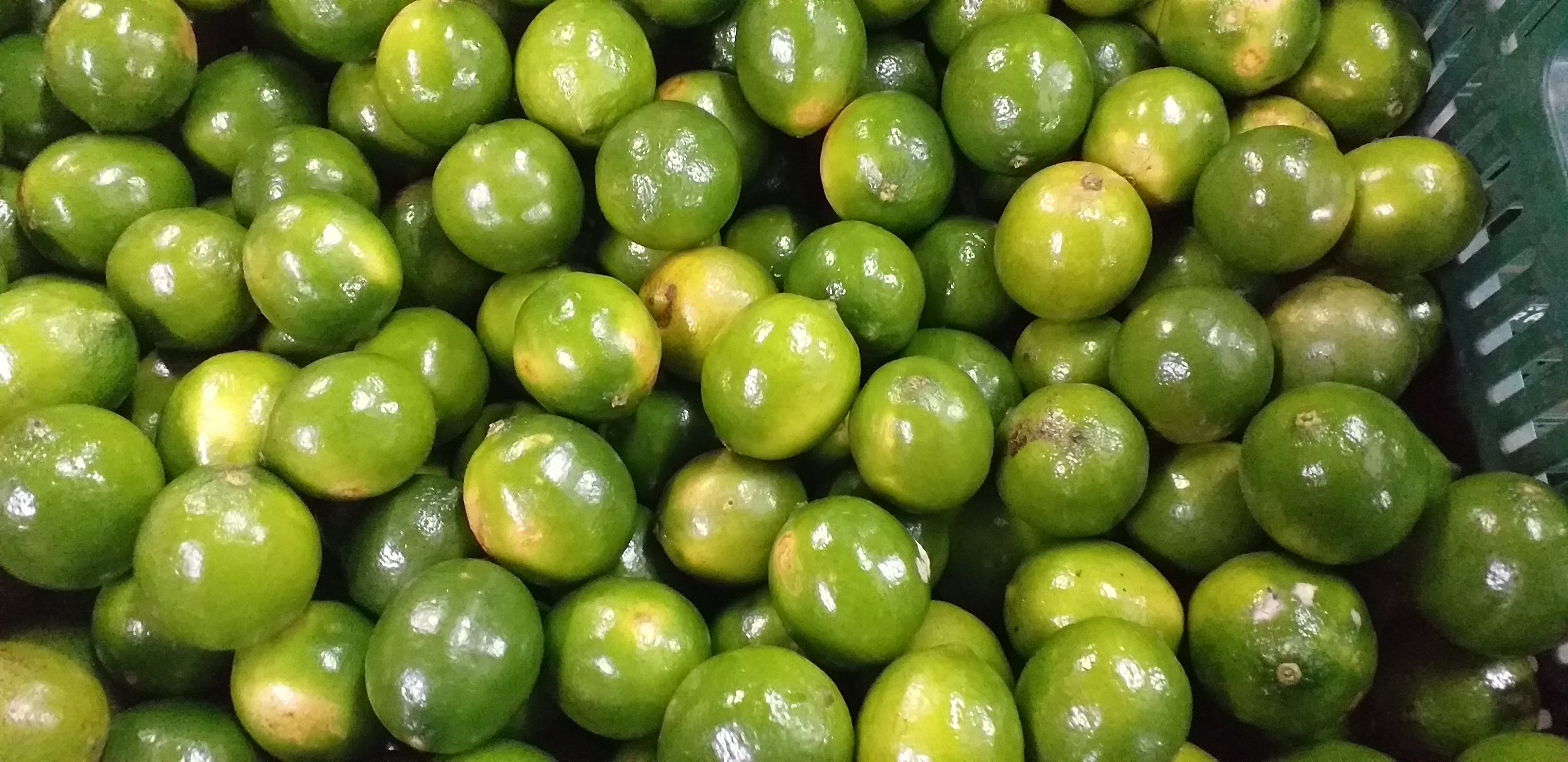 Limon tahiti