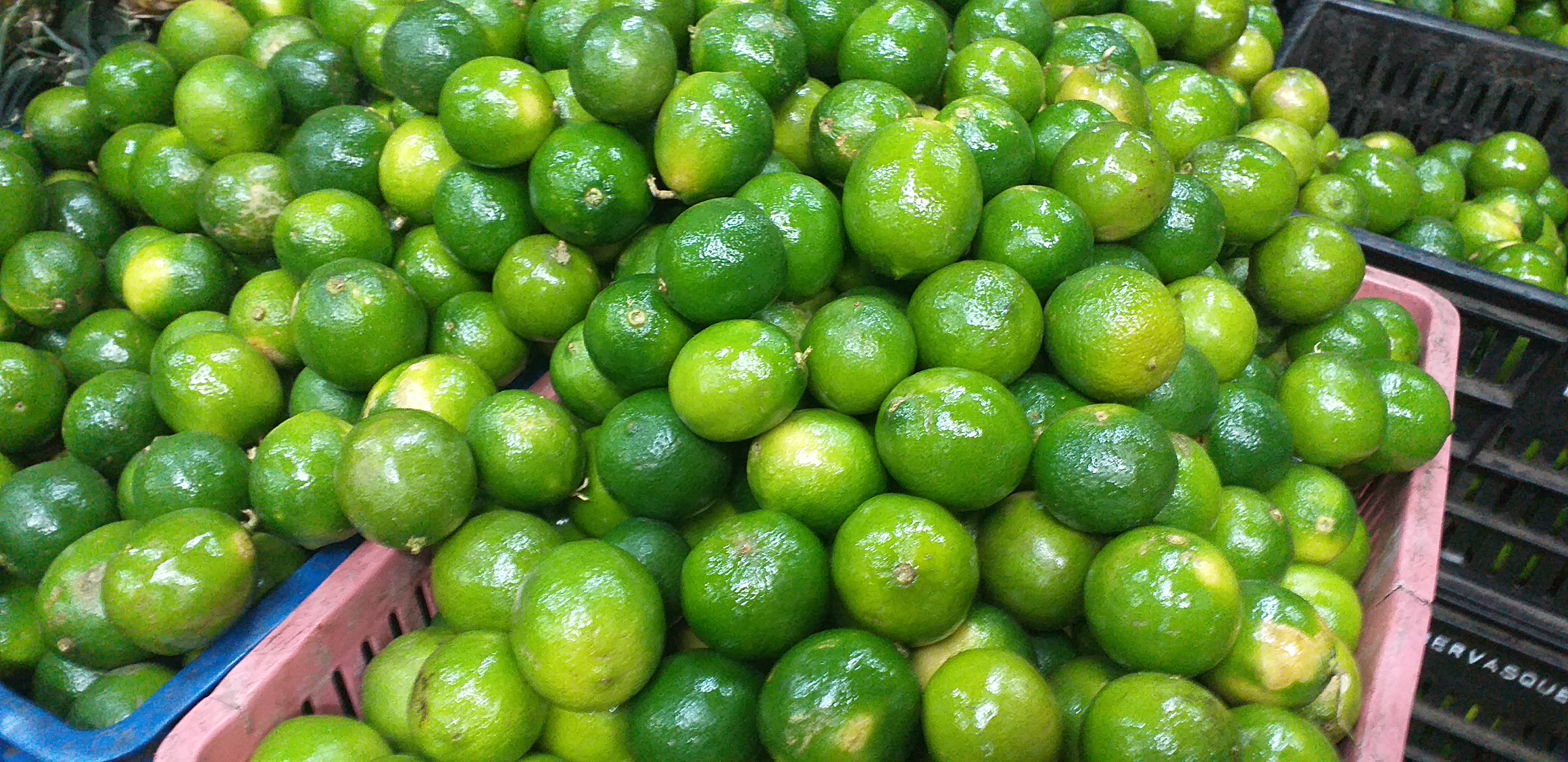 Limon tahiti