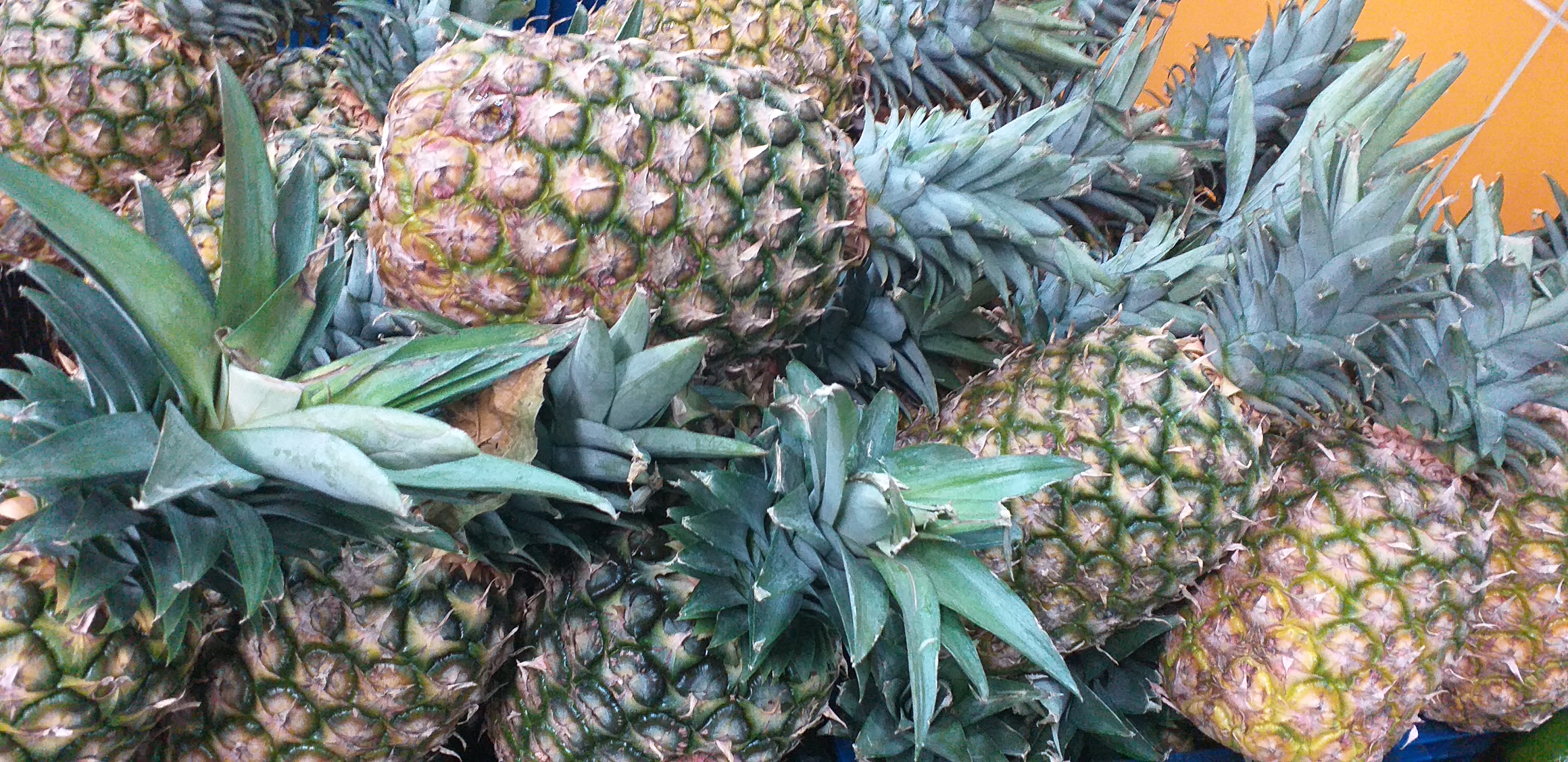 Piña oromiel