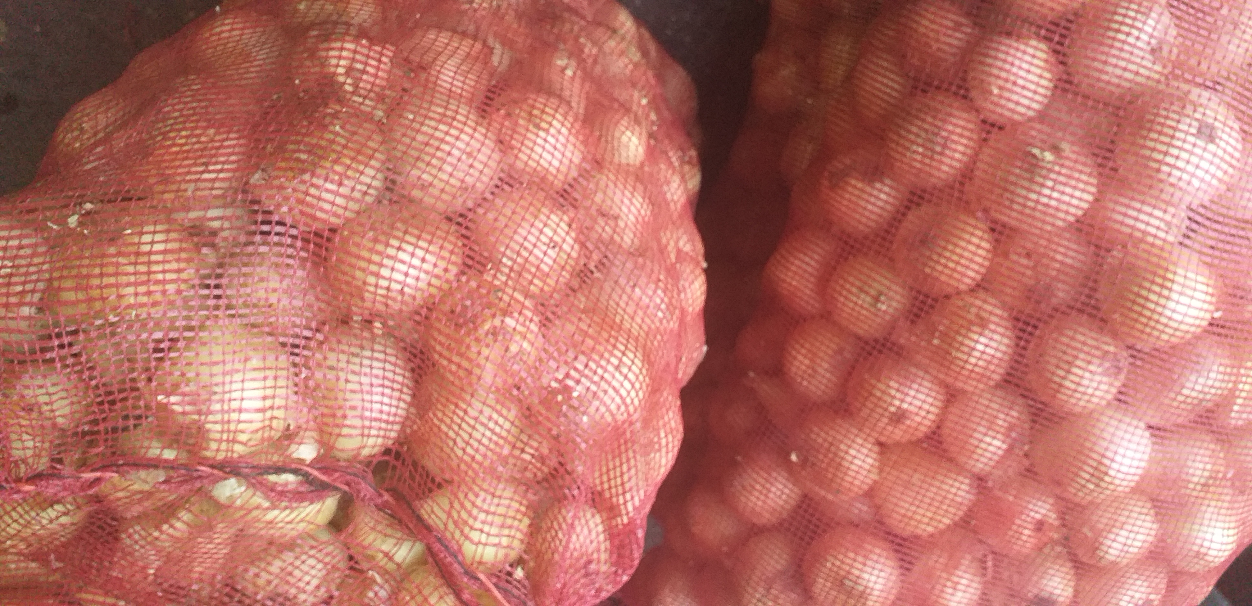 Cebolla blanca/50kg