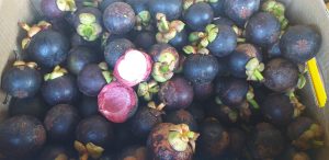 Mangostinos