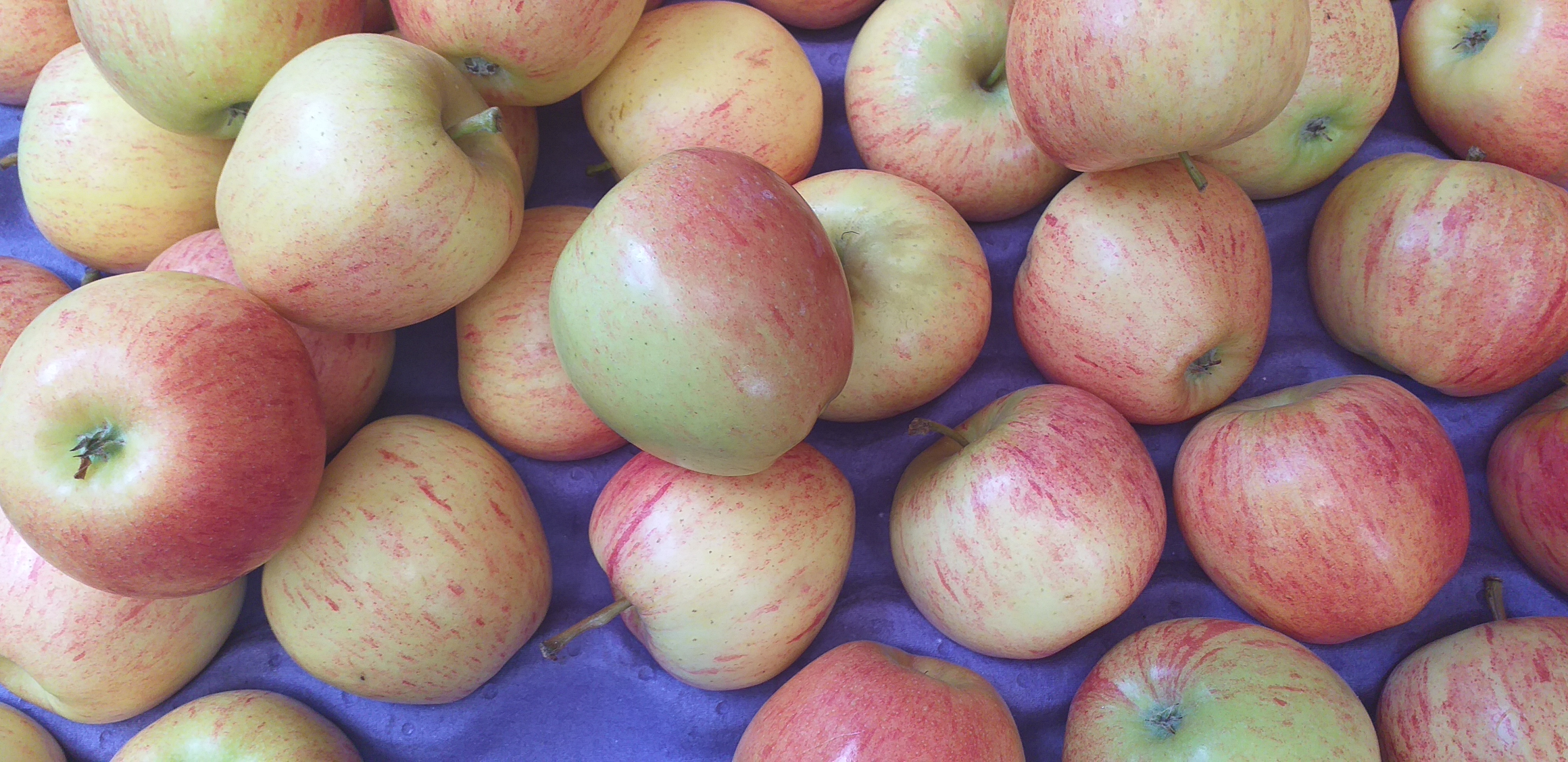 Manzana roja
