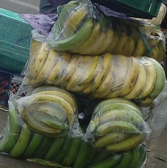 Platano