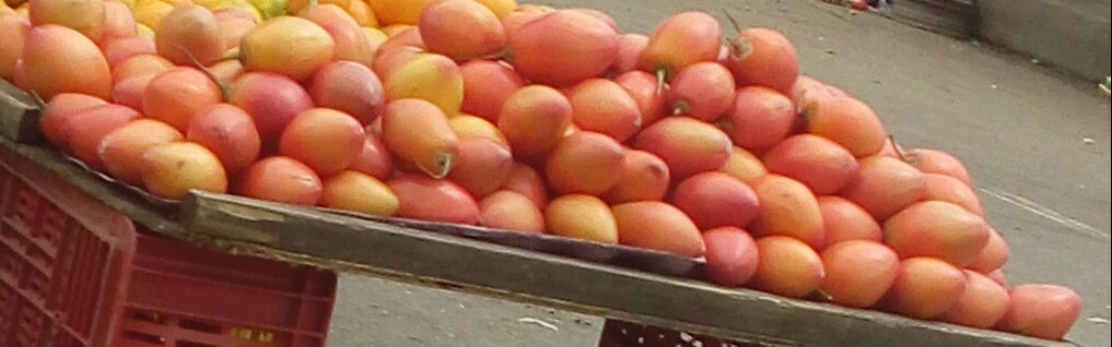 Tomate de arbol