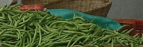Habichuelas