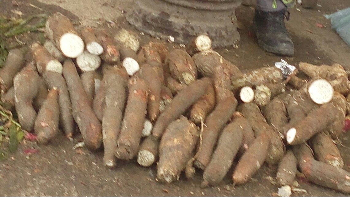 Yuca