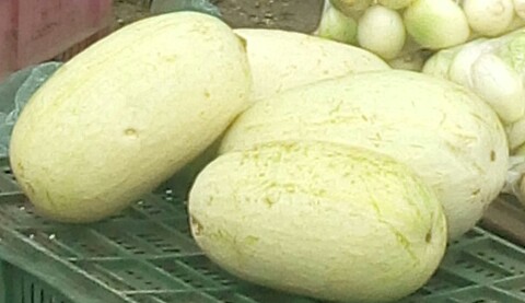 Calabaza Blanca