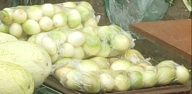 Cebolla cabezona