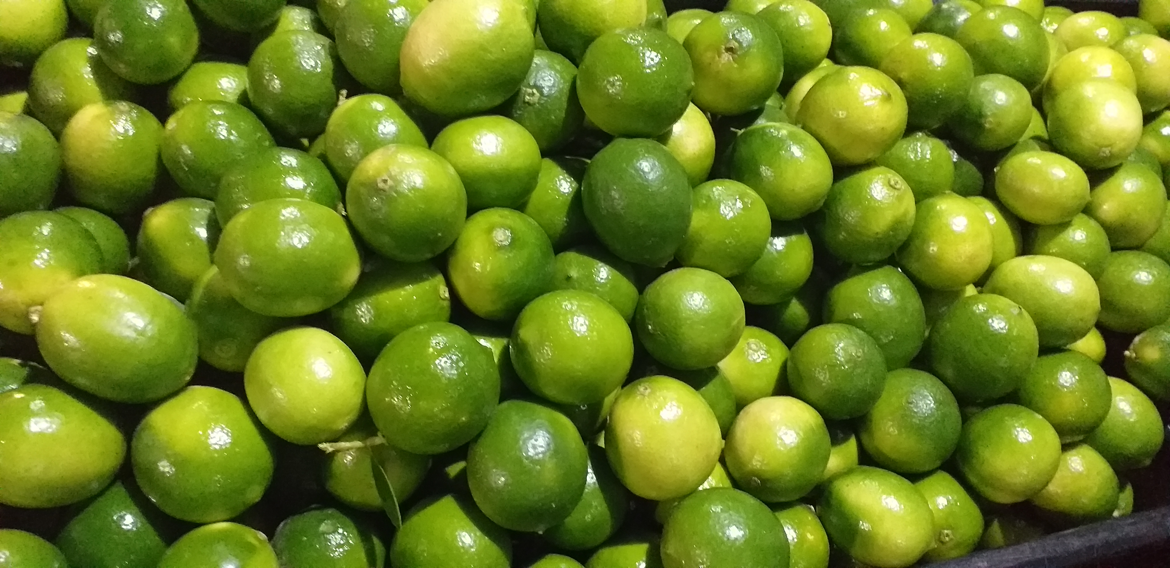 Limon tahiti delgado