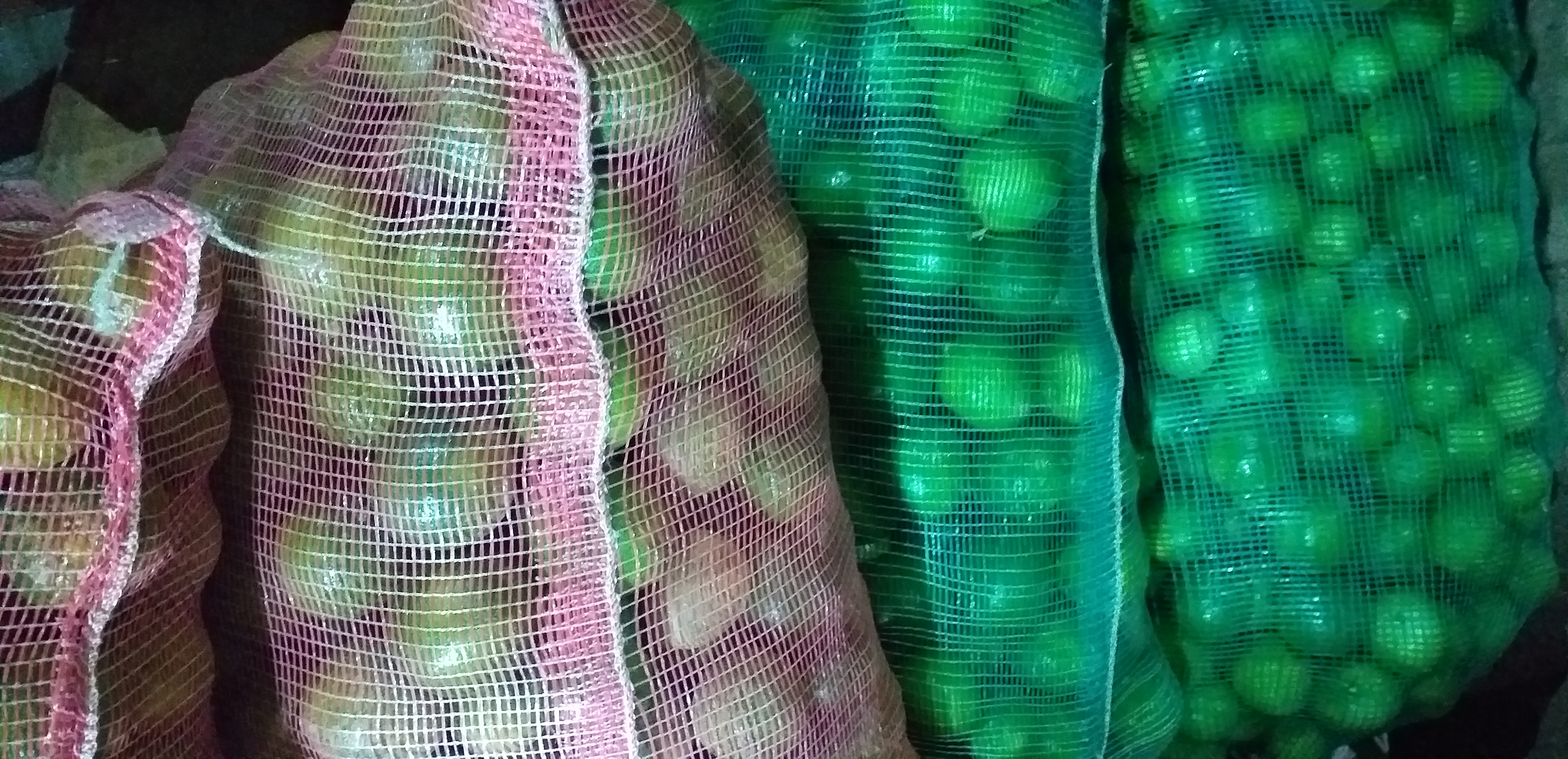 Limon tahiti