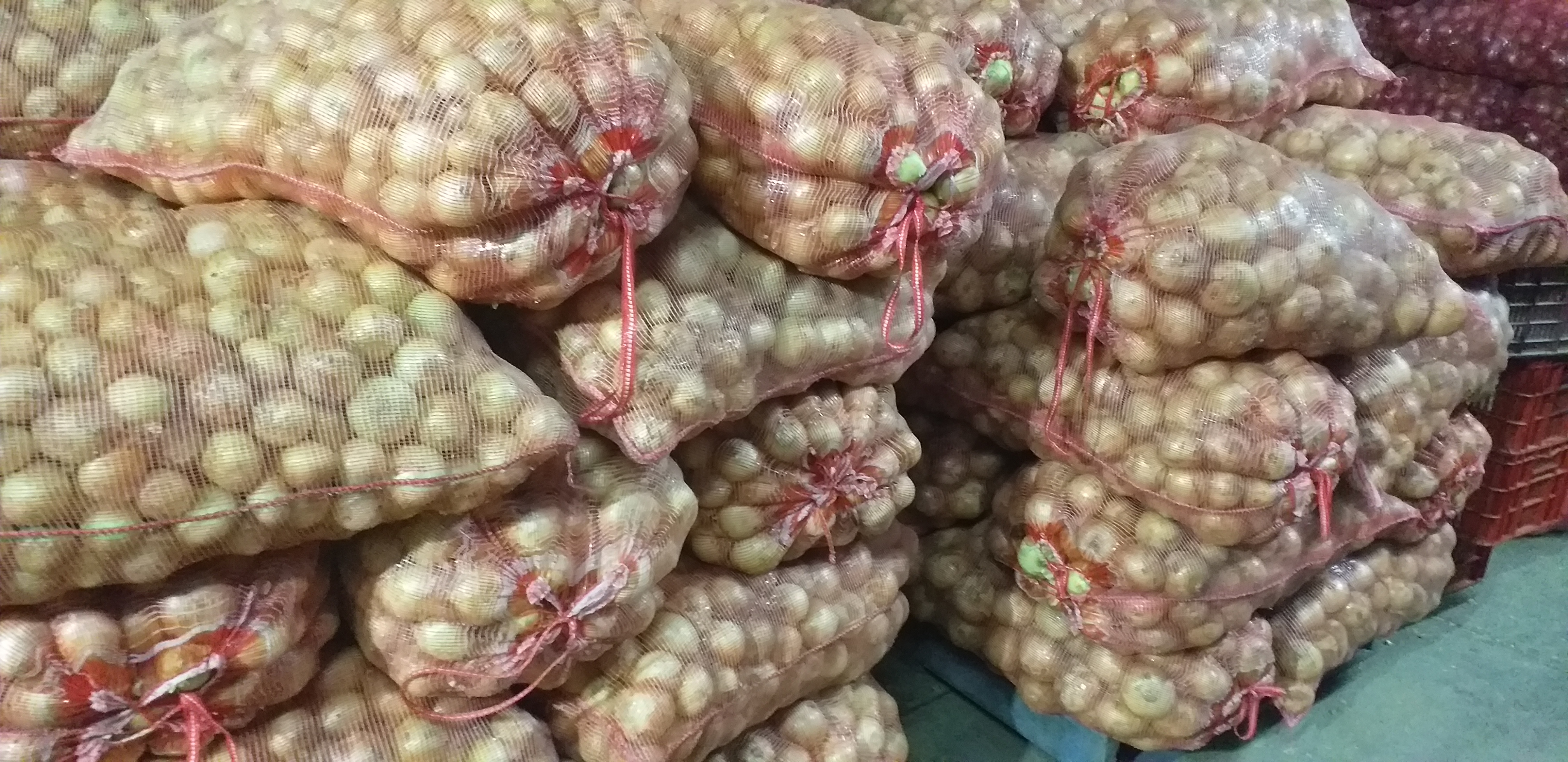 Cebolla blanca/50kg