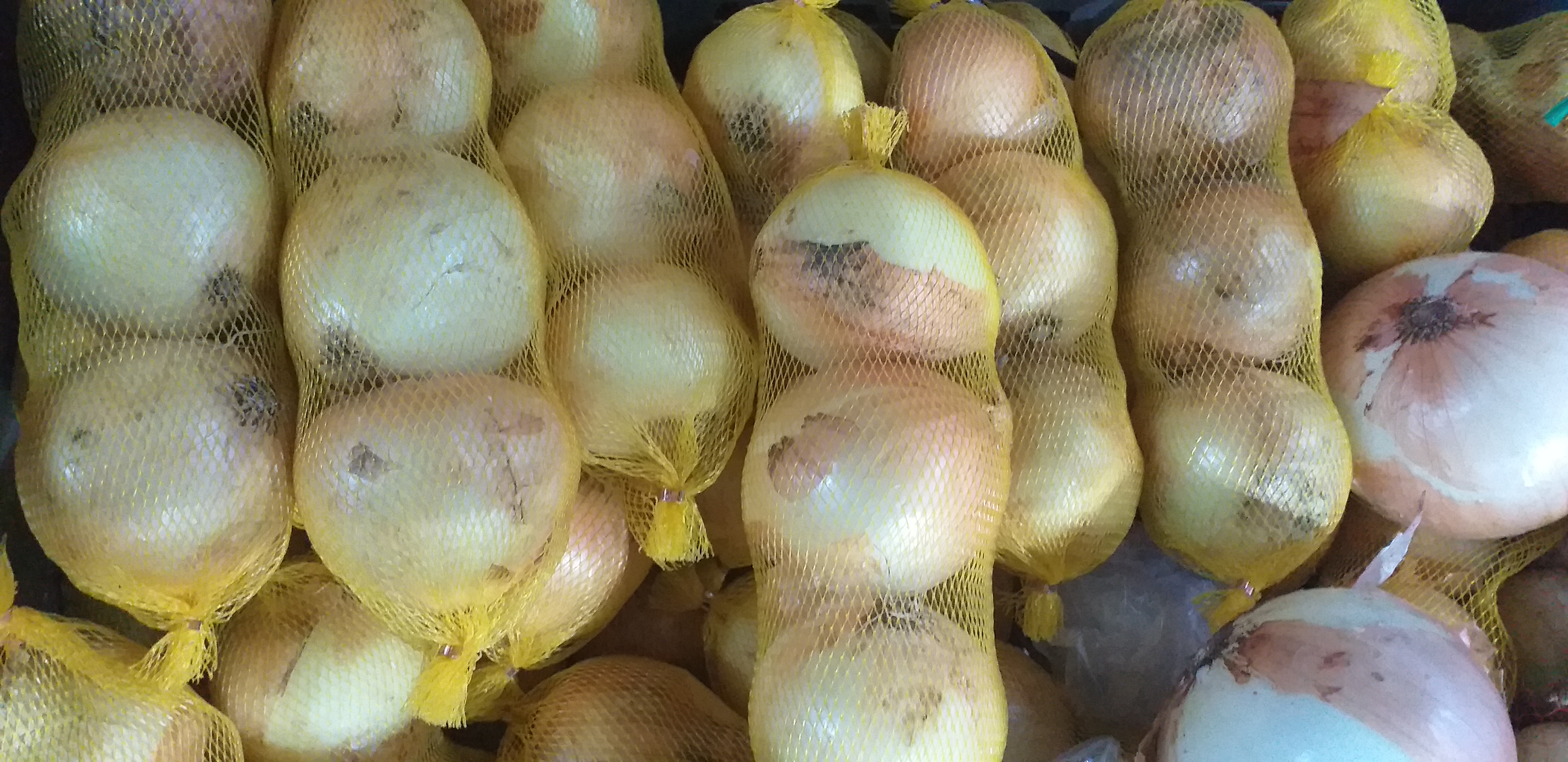Cebolla en malla