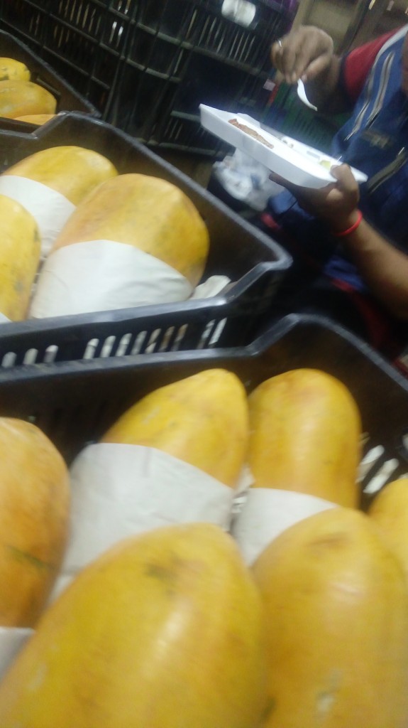 Papaya
