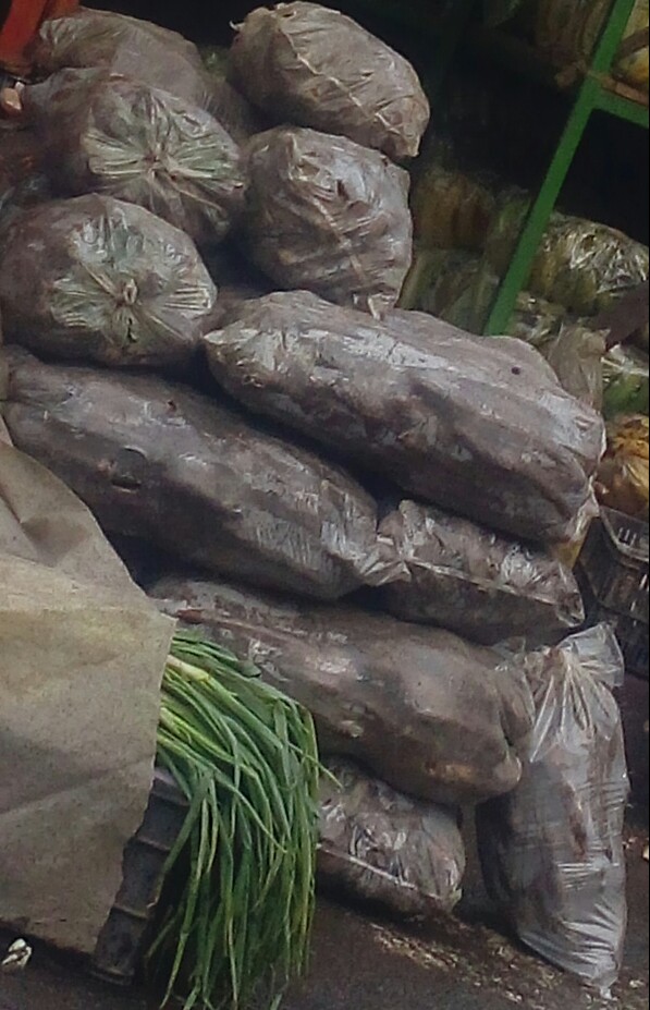 Yuca