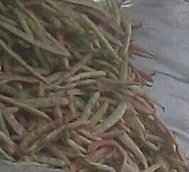 Frijol en cascara