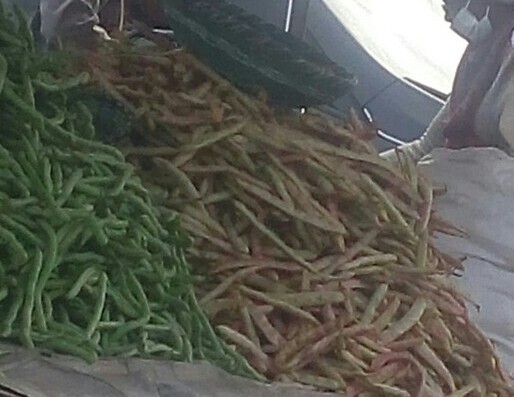 Frijol en cascara