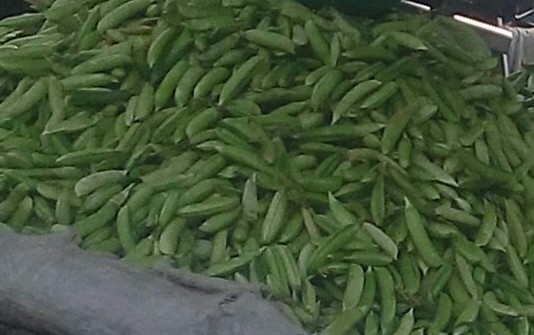 Arveja en cascara
