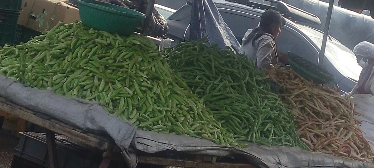 Arveja en cascara