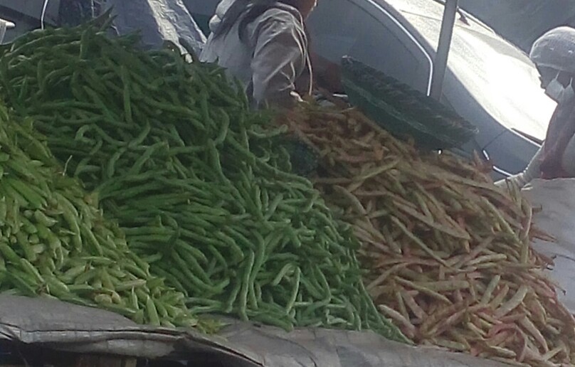 Habichuelas