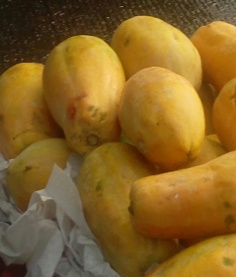 Papaya