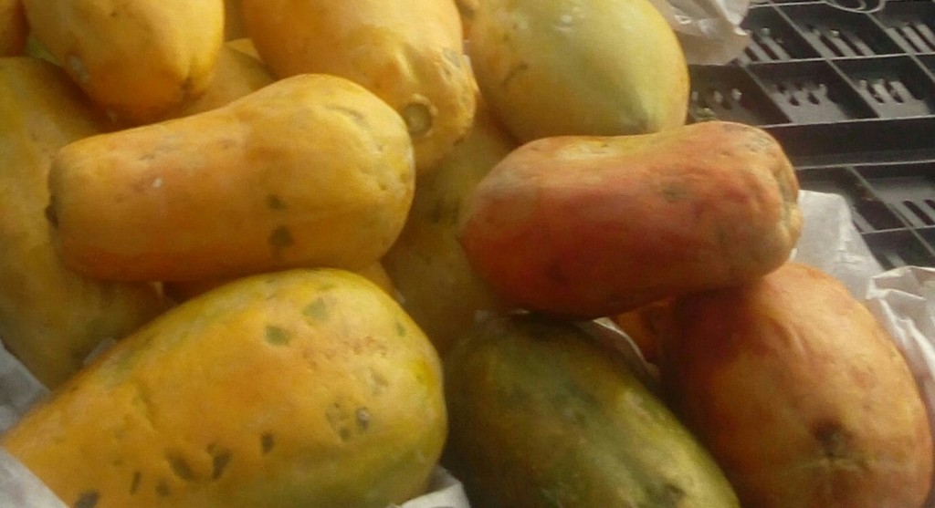 Papaya