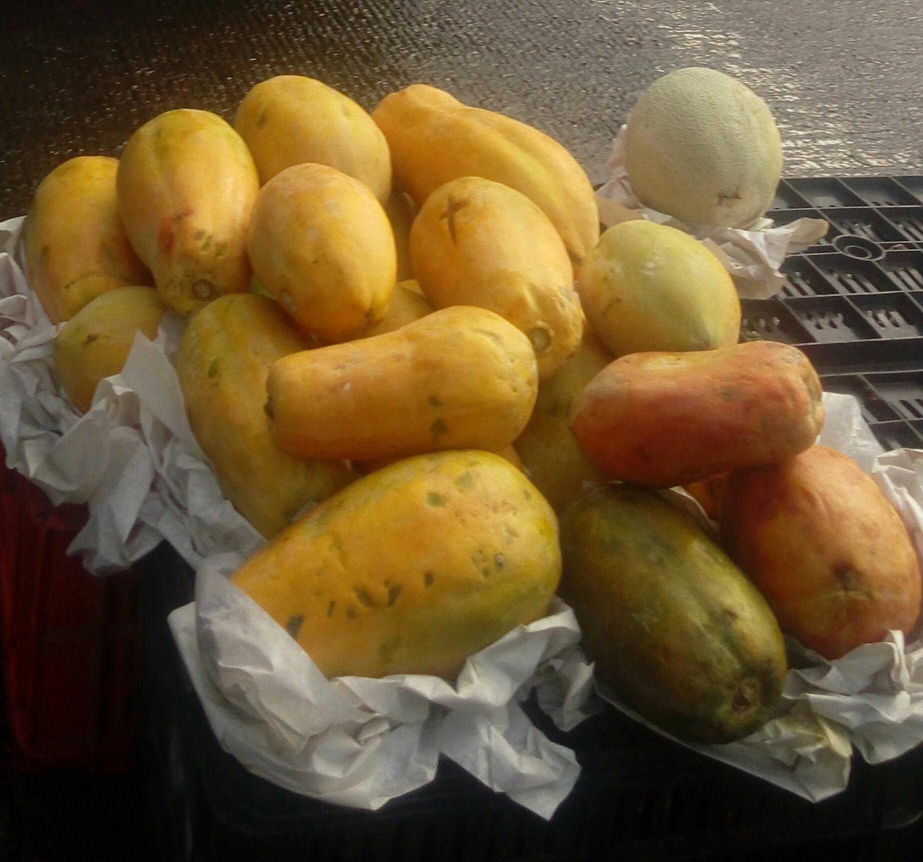 Papaya